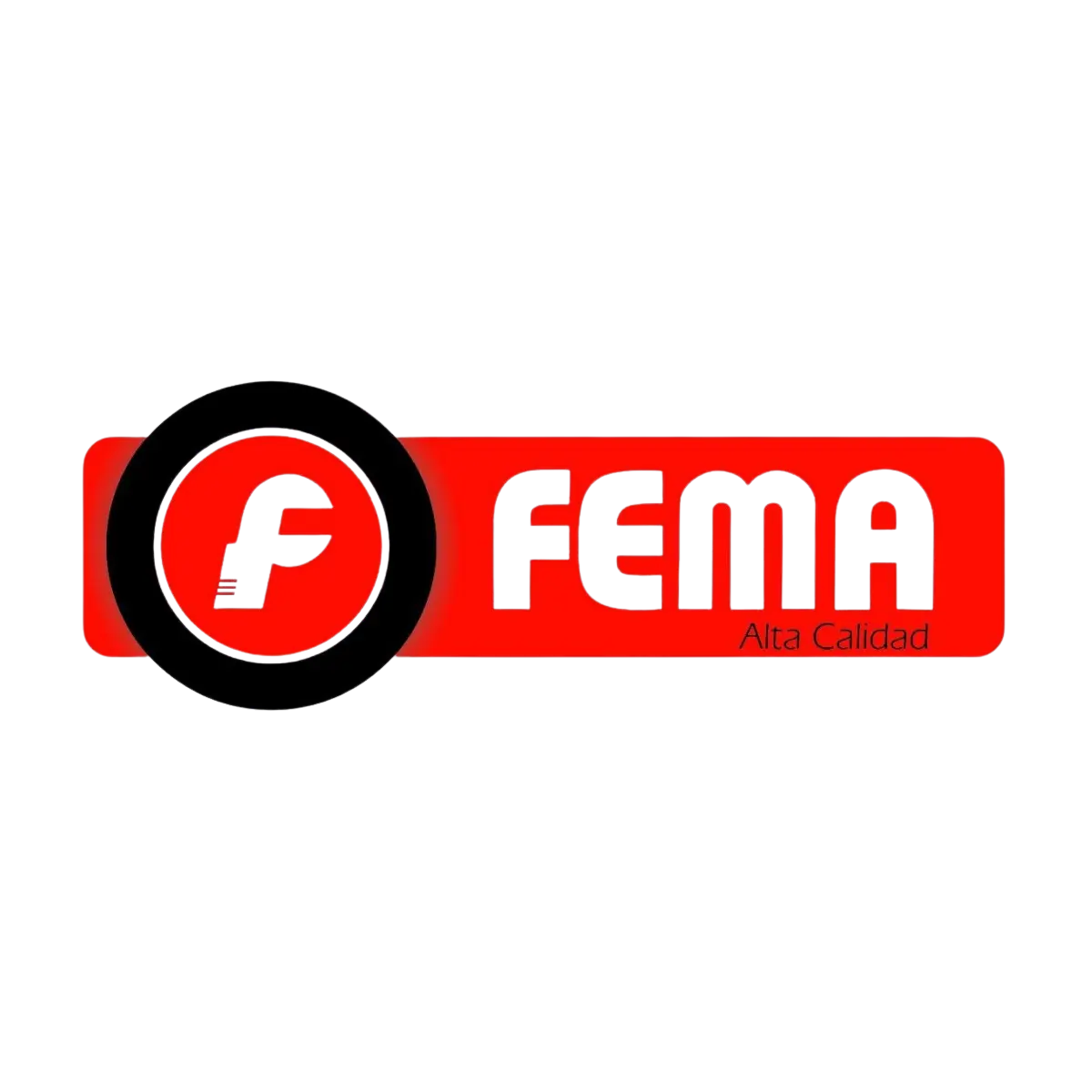 Logo Fema