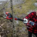 Podadora de altura Einhell 2.webp