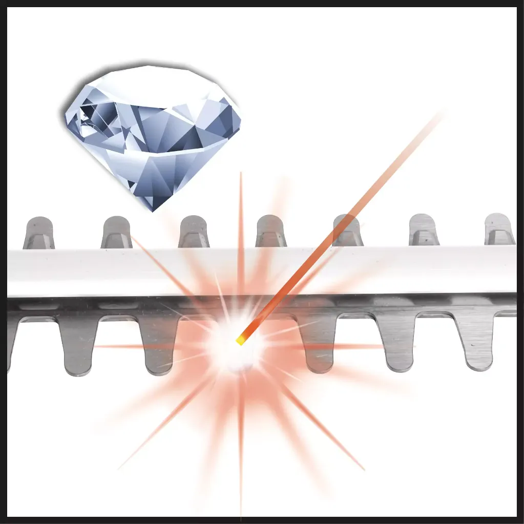 EINHELL CORTA CERCO 3.webp