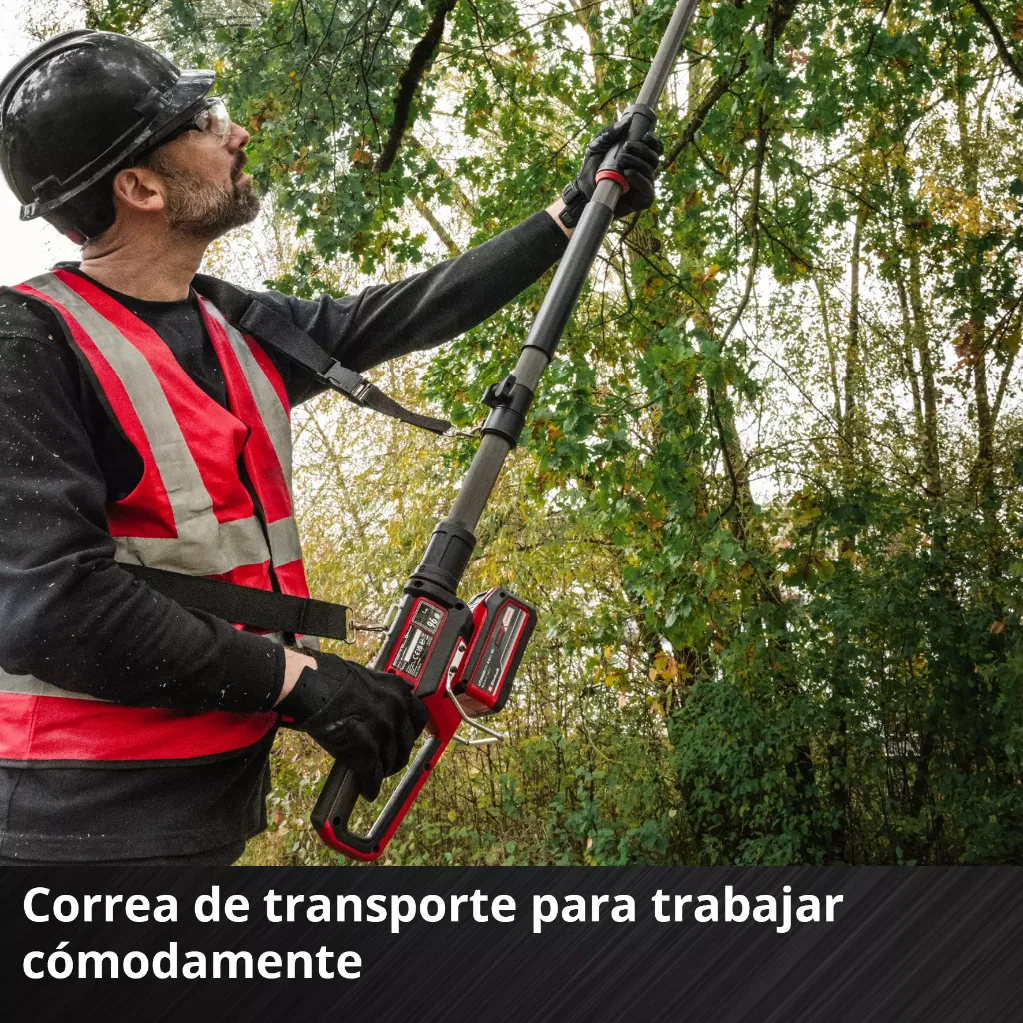 EINHELL Podadora Podadora de altura 6.webp