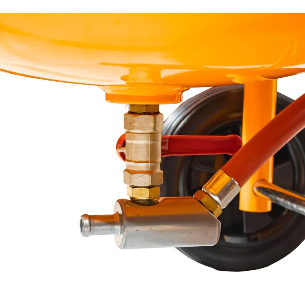 Arenadora Neumatica neumatica 4.webp