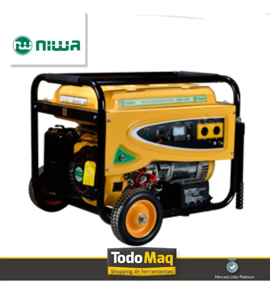 GRUPO ELECT. NIWA 1.webp