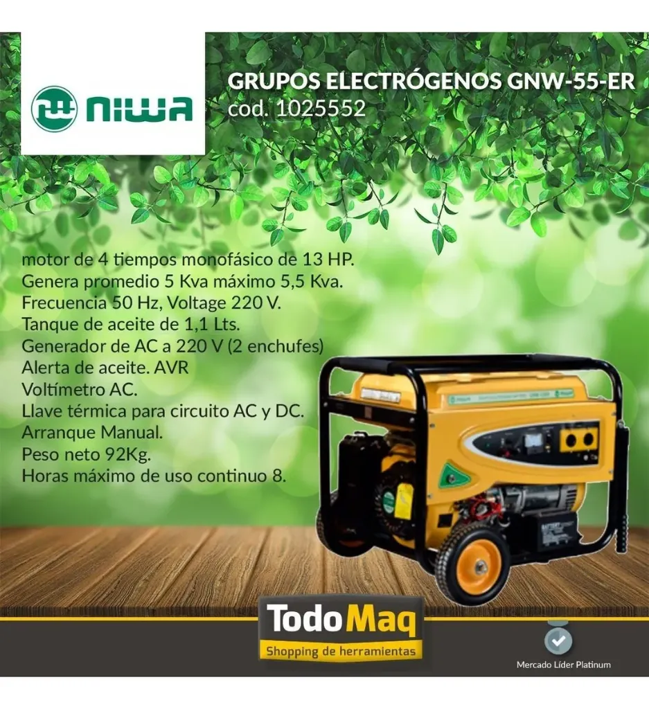 GRUPO ELECT. NIWA 2.webp