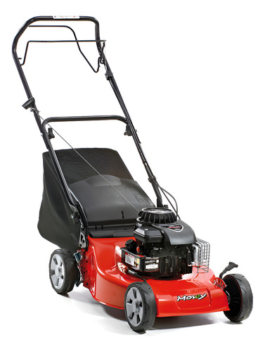 CORTAC. CASTEL GARDEN-4.50HP-B&S-TRACION-BOLSA-TRITURDORA    RUEDA 180 MM-- 17`` DE CORTE - REGULACION DE ALTURA DE CINCO POCISIONES .RECOLECTOR DE 55LT.TEXTIL-MANIJA ERGONOMETRICA
XC48 BW