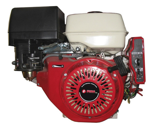 MOTOR FEMA 188FD-13,0 HP-ARRAN ELECT.-Eje D.25mm