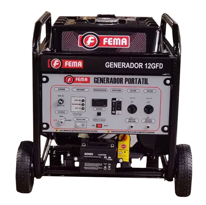 GENERADOR INVERTER 12GFD FEMA