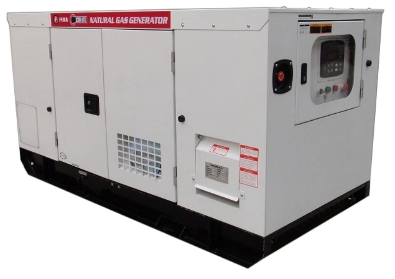 [FE69380371] GENERADOR FEMA 24KW  380V  GAS INSONORIZADO ATS